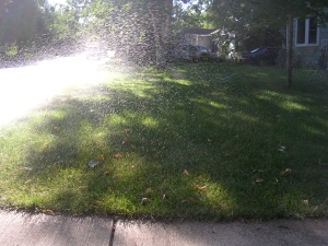 Sunlight filters through trees onto a grassy lawn beside a sidewalk.
