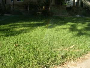 A grassy lawn with some shadows and a building in the background.